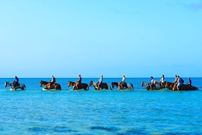 Group Beach and Ocean Horseback Adventure in Providenciales - Starting on Bay Road, Not on a Forest Trail