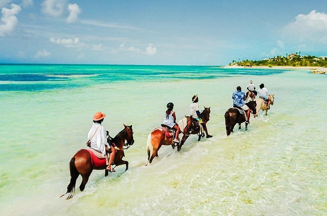 Group Beach and Ocean Horseback Adventure in Providenciales - Photos, Water, and the Conch Shell Souvenir