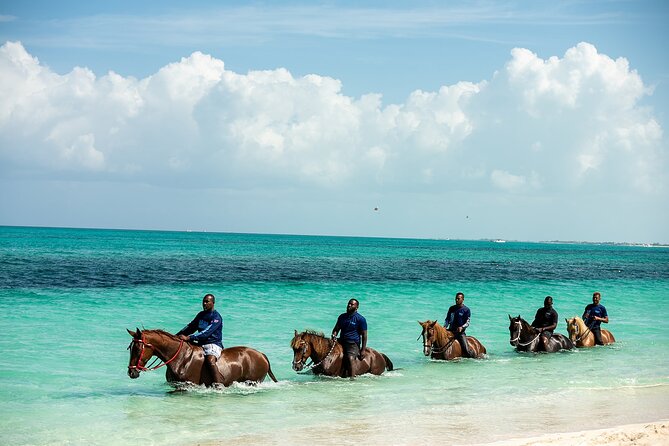 Group Beach and Ocean Horseback Adventure in Providenciales - Is $254 a Fair Price for One Hour?