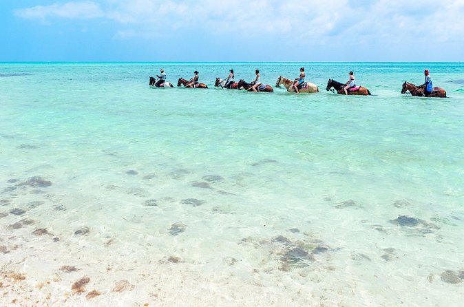 Group Beach and Ocean Horseback Adventure in Providenciales - Who Will Enjoy This Ride Most