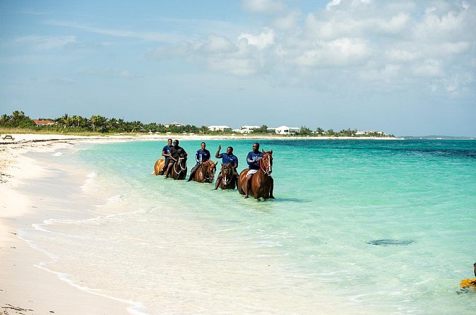 Group Beach and Ocean Horseback Adventure in Providenciales - Practical Advice Before You Book