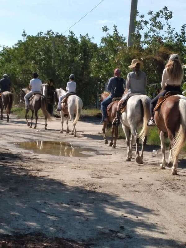 Group horseback ride on Holbox Island, Quintana Roo - Why horseback riding suits Holbox