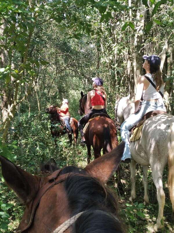 Group horseback ride on Holbox Island, Quintana Roo - Through the mangroves for about 64 minutes