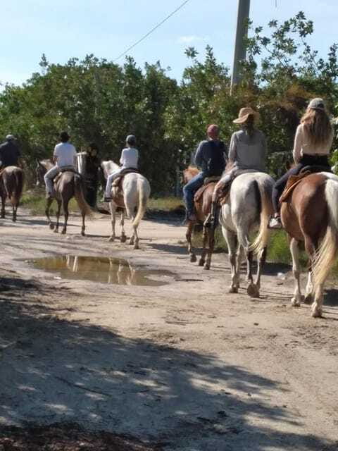 Group horseback ride on Holbox Island, Quintana Roo - How much guidance should you expect?
