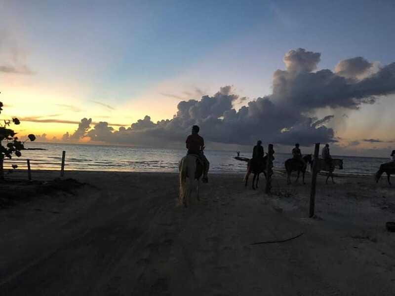 Group horseback ride on Holbox Island, Quintana Roo - Is $71 a fair price?