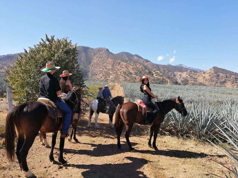 Guadalajara: Horse Riding on the Tequila Route with Tastings - Tequila above the canyon