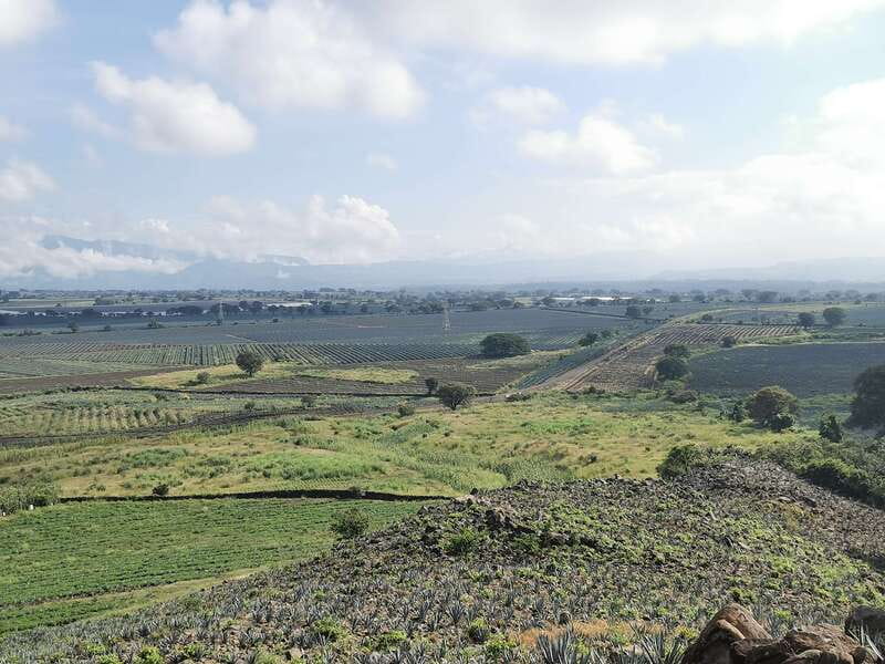 Guadalajara: Horse Riding on the Tequila Route with Tastings - Lunch at La Taberna de La Cofradia