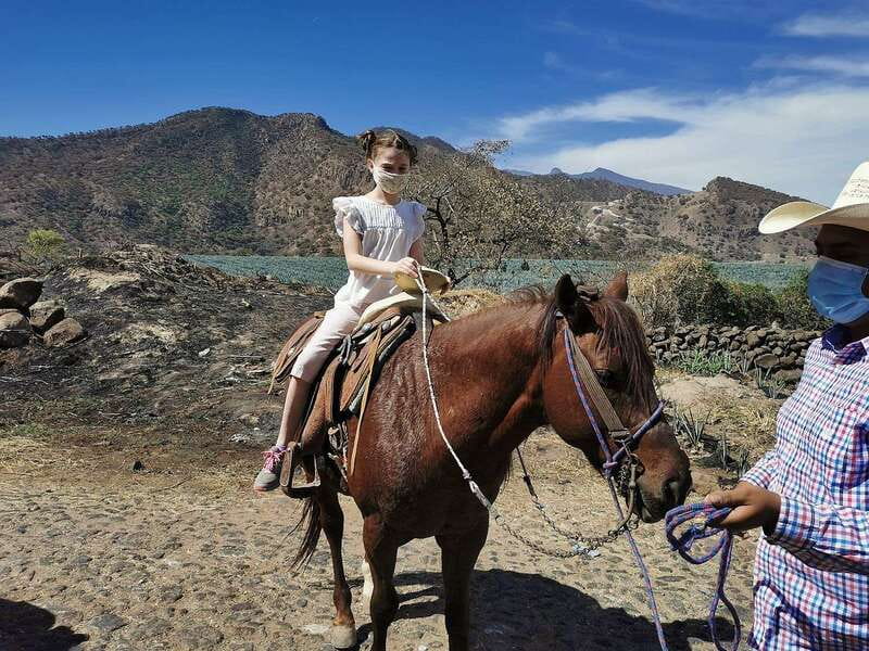 Guadalajara: Horse Riding on the Tequila Route with Tastings - Amatitán and the blue agave fields