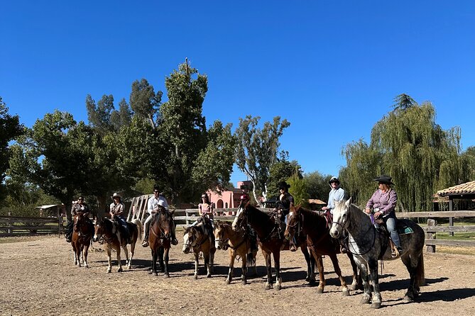 Guided 90 Min Horseback Ride Catalina State Park Coronado Forest - Getting matched with the right horse