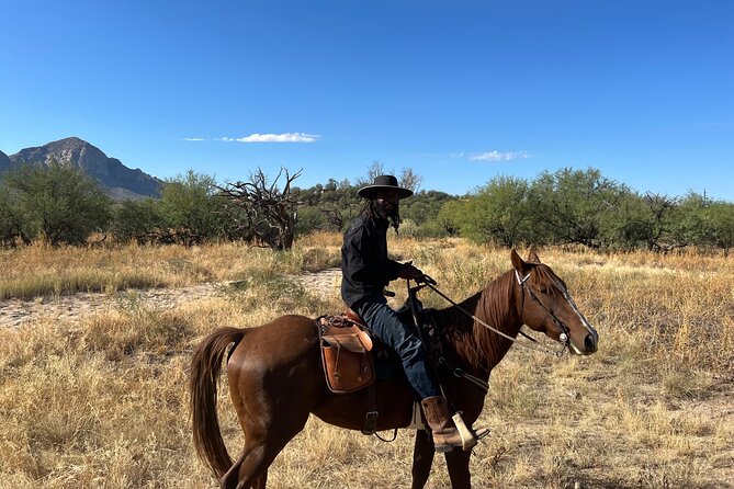 Guided 90 Min Horseback Ride Catalina State Park Coronado Forest - The pace: peaceful for some, too slow for others
