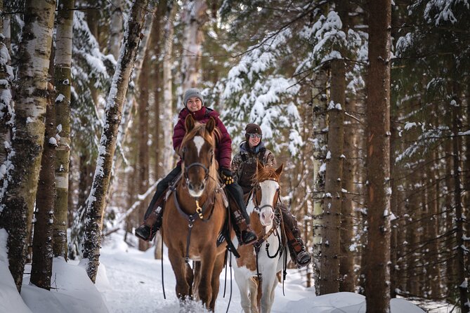 Guided Horse Riding in the Bay of Saint Paul Valley - What the Guide Adds to the Experience