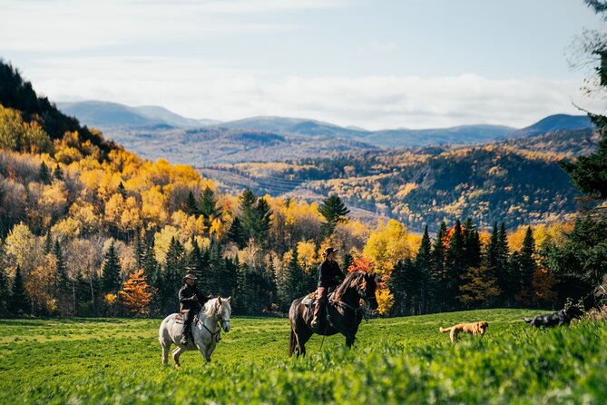 Guided Horse Riding in the Bay of Saint Paul Valley - Is $82.42 a Fair Price?