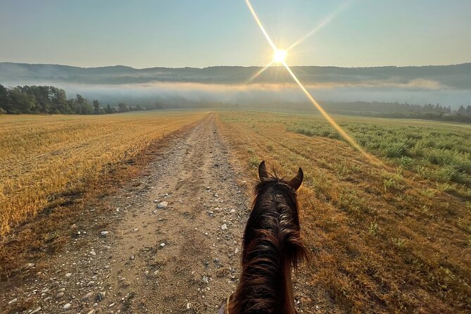 Guided Horse Riding in the Bay of Saint Paul Valley - Who Should Book This Experience?