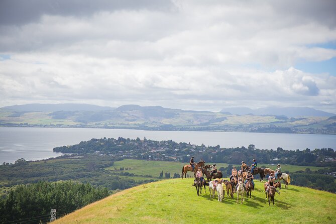Guided Horse Trekking from Rotorua - Riding into the Mt. Ngongotaha foothills