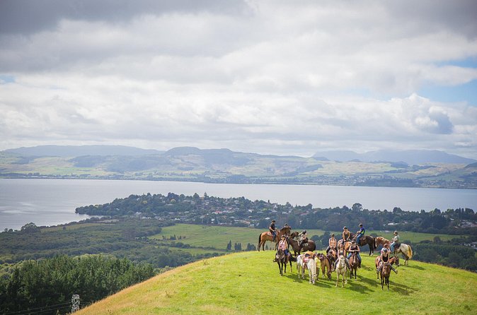 Guided Horse Trekking from Rotorua - Stop two: the Adventure Playground area