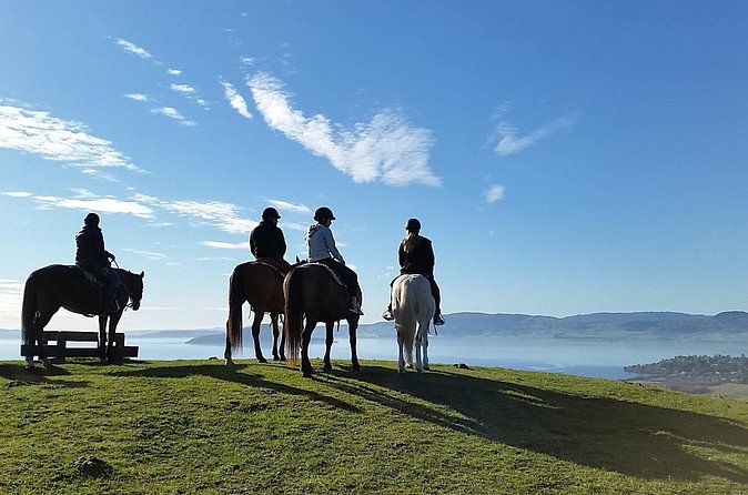 Guided Horse Trekking from Rotorua - Is one hour enough?