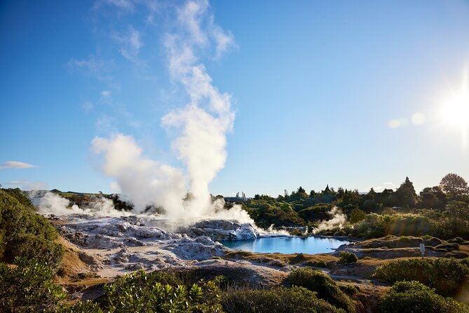 Guided Horse Trekking from Rotorua - Who should book this Rotorua horse trek?