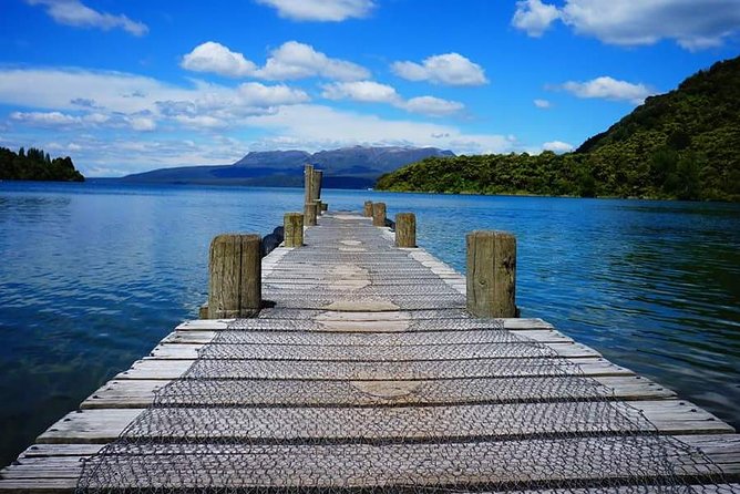 Guided Horse Trekking from Rotorua - Timing, clothing, and practical details