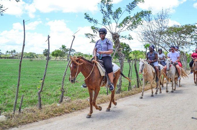 Guided Horseback Ride On The Beach With Pickup From Punta Cana - Families, Beginners, and Confident Riders