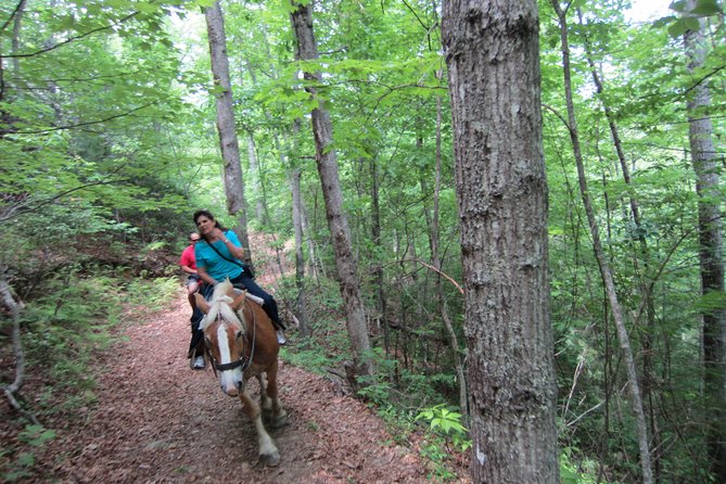 Guided Horseback Ride through Flame Azalea and Fern Forest - Safety comes before the saddle