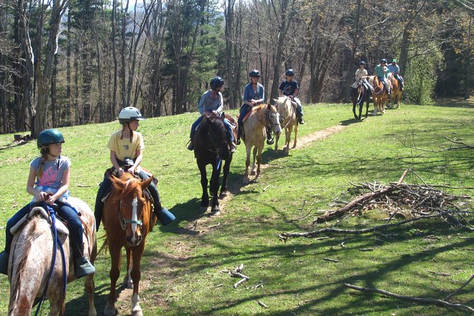 Guided Horseback Ride through Flame Azalea and Fern Forest - How the guide and group shape the ride