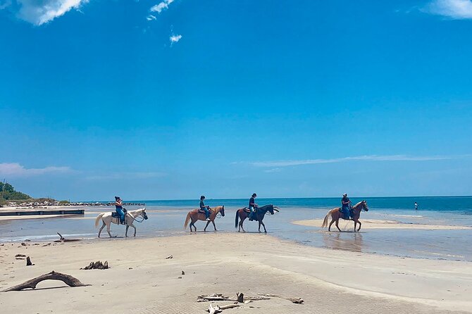 Guided Horseback Riding on The Pristine Waters of Miami Florida - Key points to know before you book