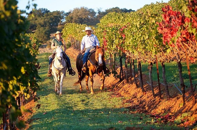Guided Horseback Tour only 30 mins from Sedona. - Mountain viewpoints and the guide’s role