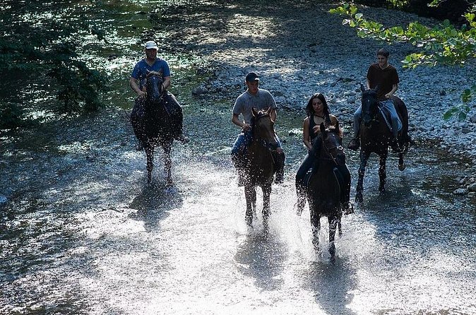 Guided Horseback Tour only 30 mins from Sedona. - Weather, cancellations, and what to bring