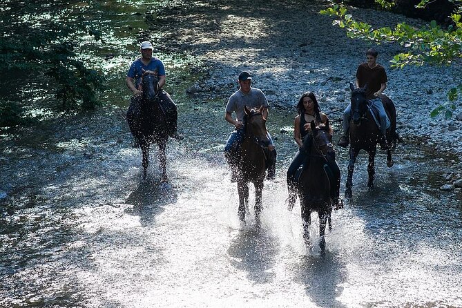Guided Horseback Tour only 30 mins from Sedona. - The one-hour route through vineyards and river country