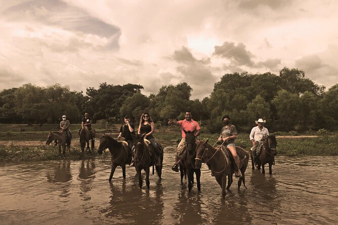 Guided Tour with Horseback Riding and Bioluminescence in Puerto Escondido - Guides, safety, and the feel of the day