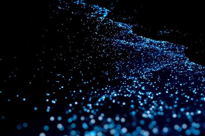 Guided Tour with Horseback Riding and Bioluminescence in Puerto Escondido - A quick look at Playa Zicatela
