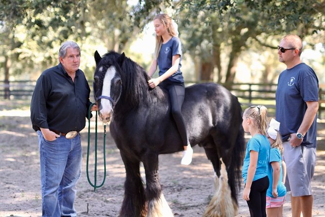 Gypsy Gold Horse Farm Tour - Walking beneath old oaks and Spanish moss