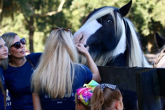 Gypsy Gold Horse Farm Tour - The animals beyond the horses
