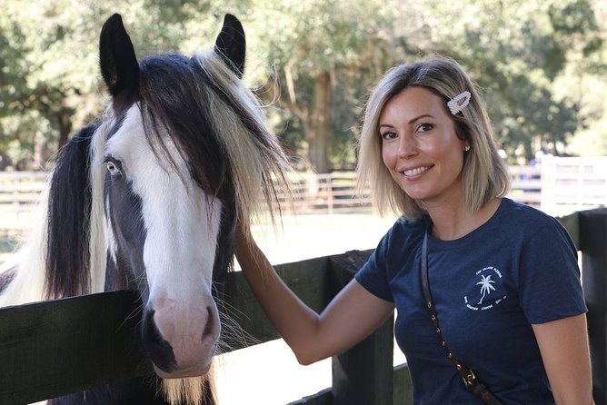 Gypsy Gold Horse Farm Tour - Is $55 a fair price?