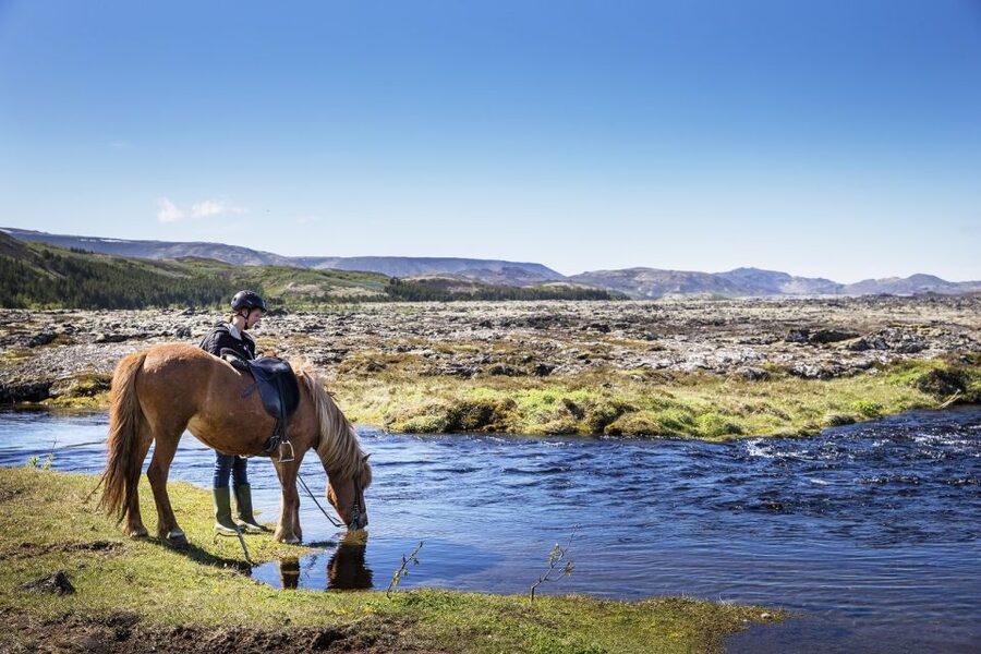 Hafnarfjörður: Horseback Riding Tour in Reykjavik Area - Key points to know before you book