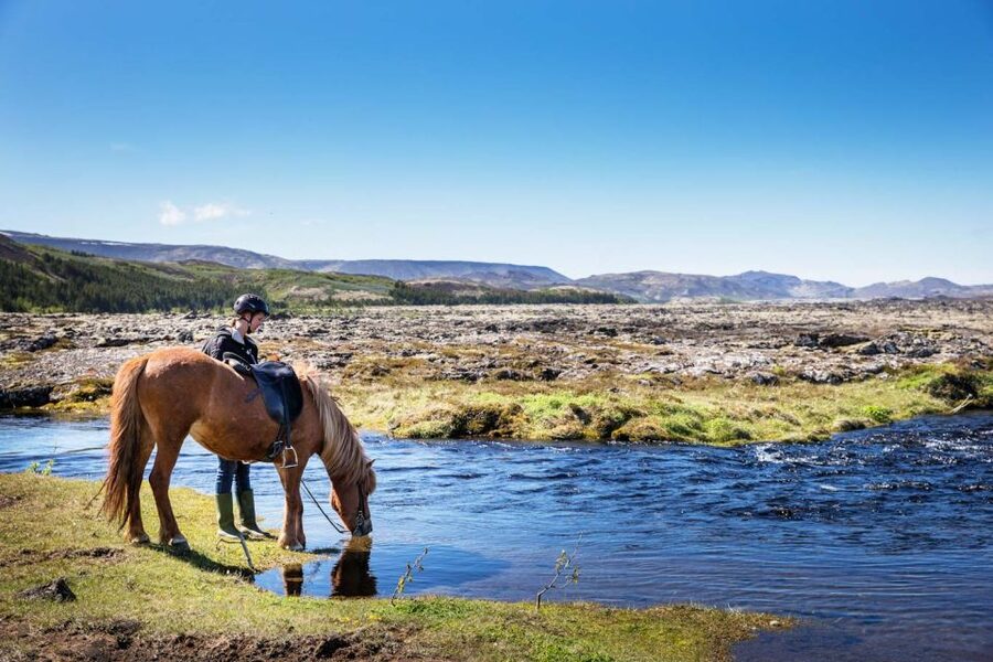 Hafnarfjörður: Horseback Riding Tour in Reykjavik Area - Why Icelandic horses make this a good first ride