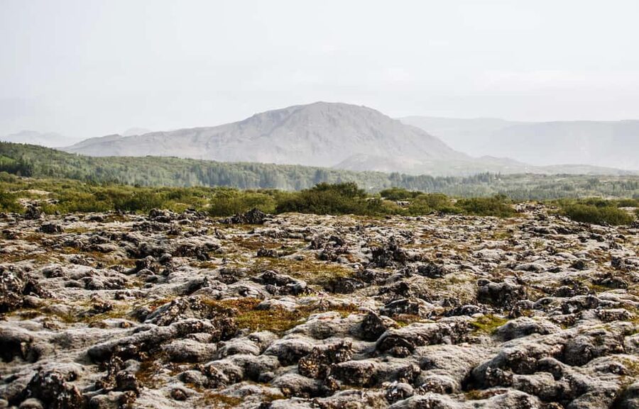 Hafnarfjörður: Horseback Riding Tour in Reykjavik Area - Warm gear makes a real difference