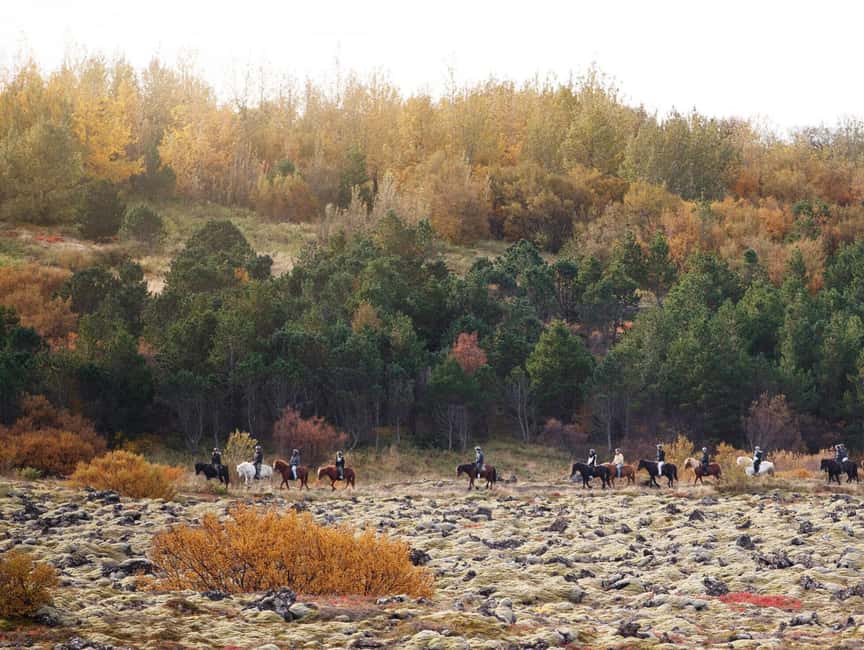 Hafnarfjörður: Horseback Riding Tour in Reykjavik Area - A closer look at the guide service