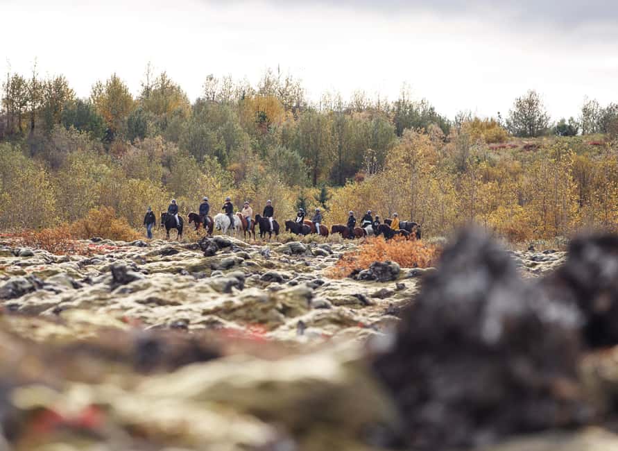 Hafnarfjörður: Horseback Riding Tour in Reykjavik Area - Is $132 a fair price?