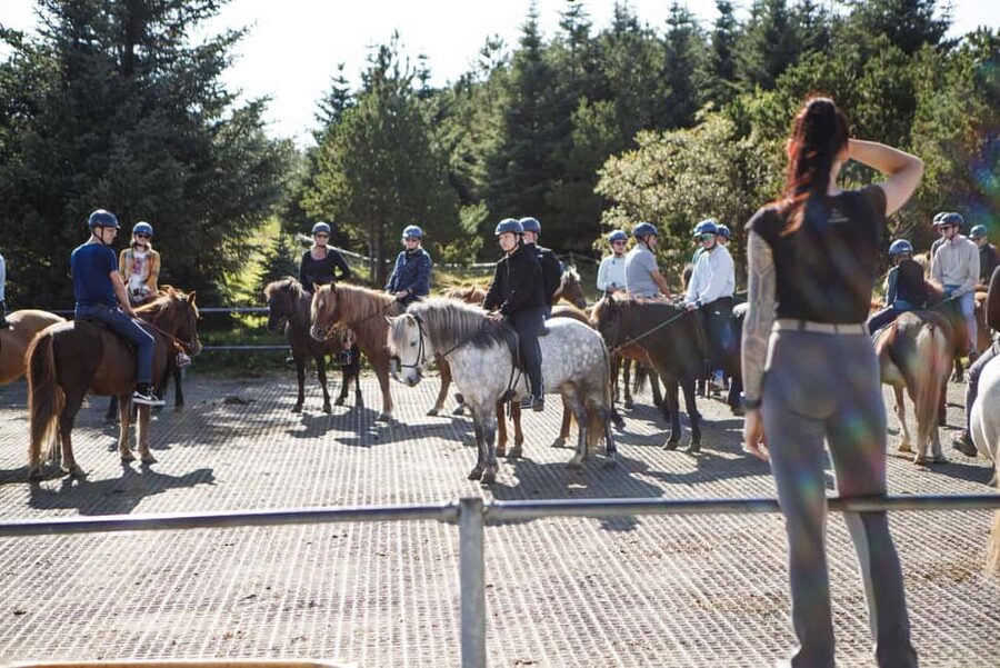 Hafnarfjörður: Horseback Riding Tour in Reykjavik Area - Who should book this Hafnarfjörður ride?