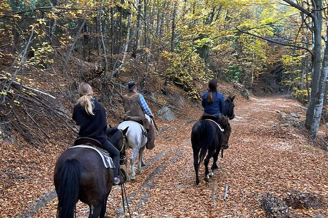Half day adventure - Nevsky, Vitosha Hoof, Boyana and Horse Ride - Horse riding at Rancho Mechata Stapka
