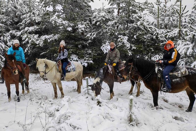 Half day adventure - Nevsky, Vitosha Hoof, Boyana and Horse Ride - Guide Rado and the human touch