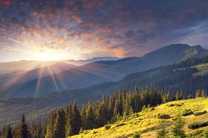 Half day adventure - Nevsky, Vitosha Hoof, Boyana and Horse Ride - Vitosha Mountain by air-conditioned vehicle