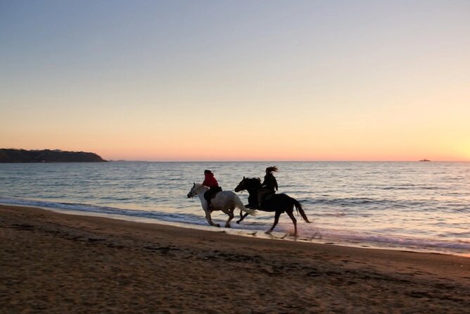 Half-Day Beach Horse Back Riding in Puerto Plata - Riding Beside The Water