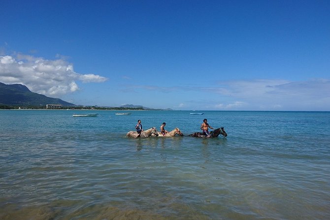 Half-Day Beach Horse Back Riding in Puerto Plata - A Break At Bergantin Beach