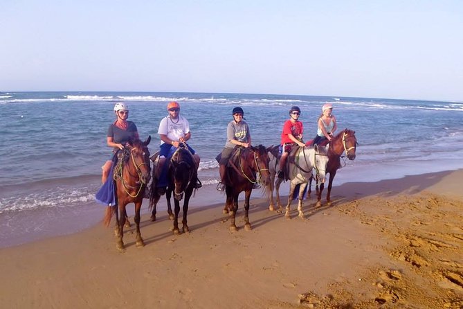 Half-Day Beach Horse Back Riding in Puerto Plata - The Shorter Ride Back