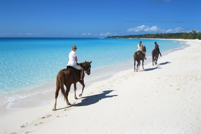 Half-Day Beach Horse Back Riding in Puerto Plata - Pickup From Puerto Plata Resorts