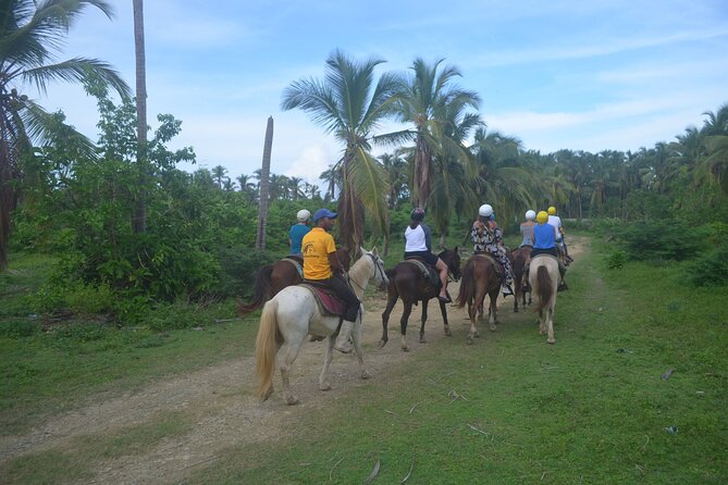 Half Day Buggies and Horseback Experience in Punta Cana - Is $99 a fair price?