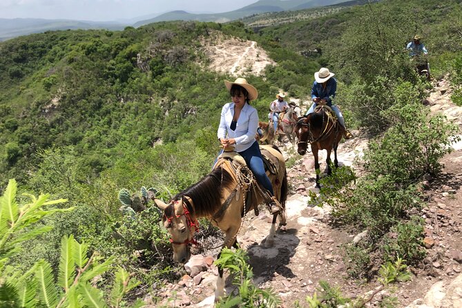 Half Day Excursion - Horseback Riding Adventure in SMA - Why this feels like more than a trail ride