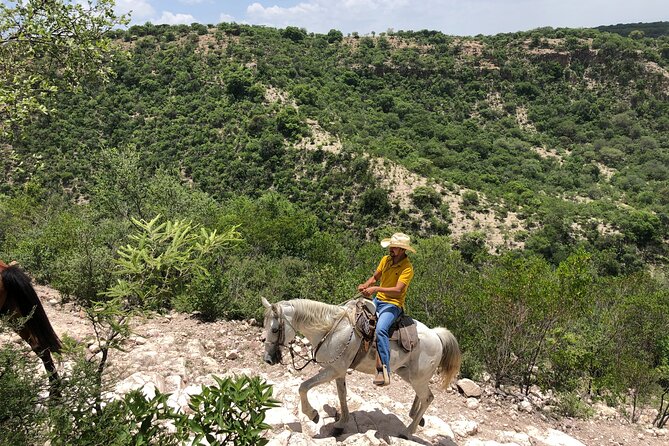 Half Day Excursion - Horseback Riding Adventure in SMA - What to bring and what to expect